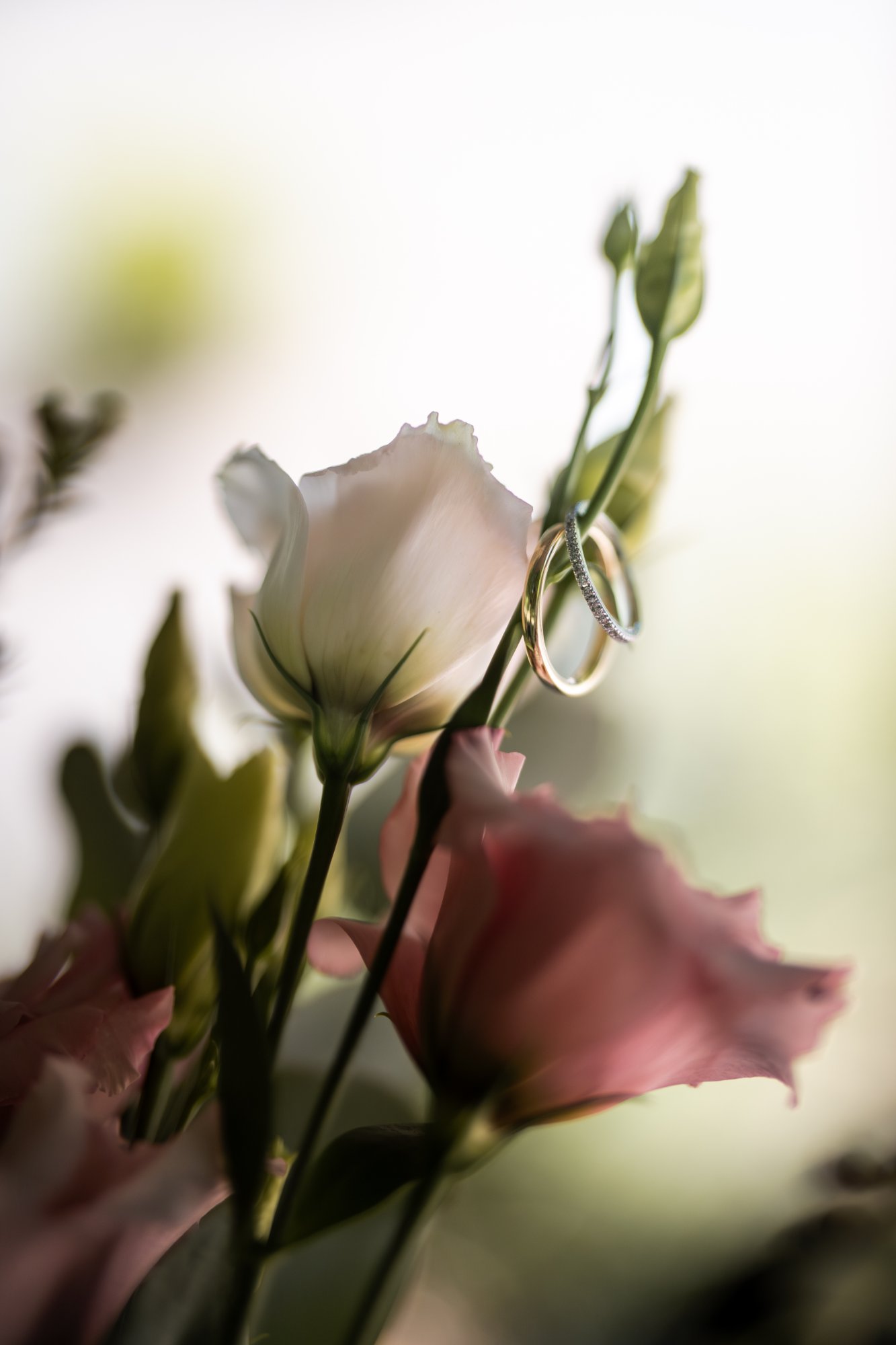 Wedding rings detail shot Prague wedding photographer