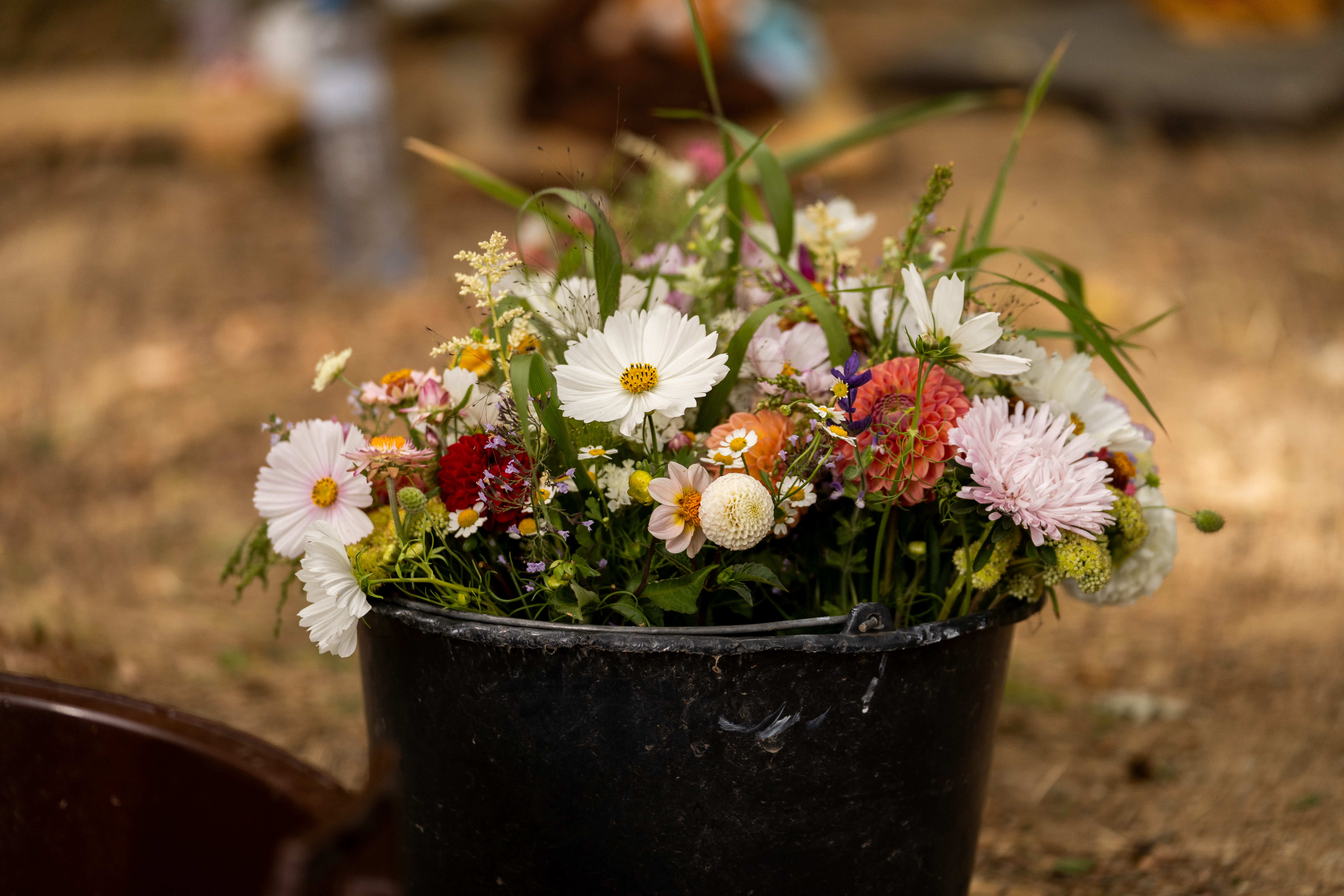 Wildflower detail romantic wedding photography Czech countryside
